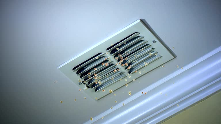 Best HVAC Maintenance and Cleaning  in Westwego, LA